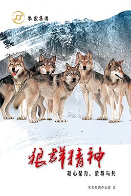 狼群心灵